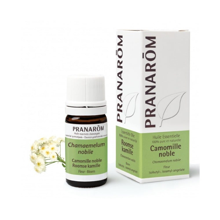 [送料無料]　プラナロム 　カモマイル ローマン BIO 5ml PRANAROM HUILE ESSENTIELLE CAMOMILLE NOBLE (CHAMAEMELUM NOBILE)