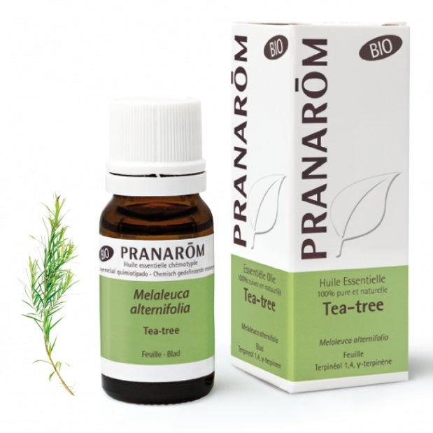 [送料無料]　プラナロム ティートゥリー  PRANAROM  Tea-Tree (Melaleuca alternifolia) 10ml