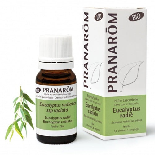 [送料無料]　プラナロム　ユーカリ ラディアタ 10ml  PRANAROM HUILE ESSENTIELLE EUCALYPTUS RADIATA